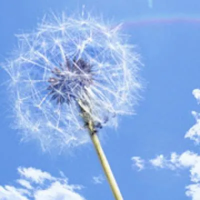 德学院-最专业的华人德州扑克学习与策略分享社区