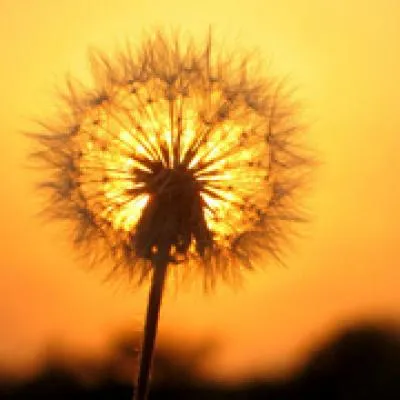 德学院-最专业的华人德州扑克学习与策略分享社区